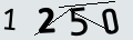 verifycode